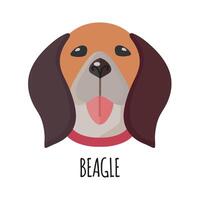 beagle icona clipart avatar logotipo isolato illustrazione vettore