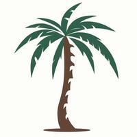 illustrazione della palma vettore