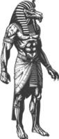 Faraone maschio il Egitto mitico creatura Immagine utilizzando vecchio incisione stile vettore