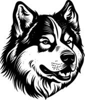 alaskan malamute, nero e bianca illustrazione vettore