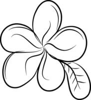 mano disegno linea di frangipani fiore design grafico illustrazione vettore