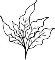 mano disegnato rami con le foglie su trasparente sfondo. file vettore