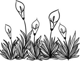 continuo linea disegno di calla gigli fiore con le foglie. illustrazione vettore