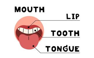 corpo parti bocca 9 carino su un' bianca sfondo, illustrazione. vettore