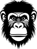 scimpanzé, nero e bianca illustrazione vettore