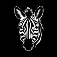 zebra bambino - nero e bianca isolato icona - illustrazione vettore