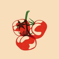 succoso rosso pomodoro. illustrazione con riso Stampa effetto vettore