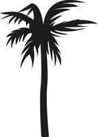 nero silhouette di un' palma albero. tropicale albero. botanica. spiaggia, giungla o oasi. etichetta per il interno di un' terme salone o viaggio agenzia. isolato illustrazione. vettore