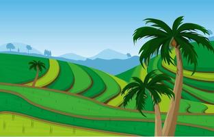 illustrazione di vista della natura di agricoltura del campo di risaia a terrazze di bali vettore