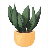 illustrazione di un' in vaso pianta della casa con le foglie. vettore