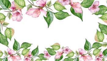 acquerello telaio con rosa fiori e le foglie isolato su bianca. floreale tavola con fiorire frutta albero ramo mano disegnato. elemento per nozze invito, carta, confezione, etichetta Prodotto vettore