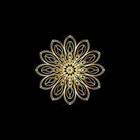 mandala. oro decorativo elemento. immagine per colorazione. astratto circolare ornamento con stilizzato le foglie vettore