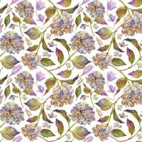 mano disegnato acquerello illustrazione squallido boho botanico fiori le foglie. ortensia hortensia viola secco infiorescenza. senza soluzione di continuità modello isolato su bianca sfondo. design nozze, amore carte vettore