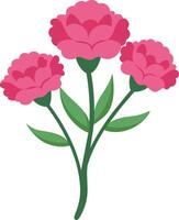mano disegnato rosa garofano fiore isolato vettore