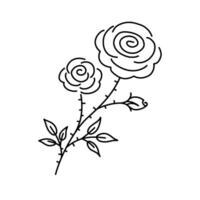 mano disegnato rosa. Due fiori e uno germoglio su stelo con spine e le foglie. arbusto rosa scarabocchio. vettore