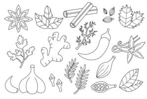 impostato spezie, condimenti e erbe aromatiche. scarabocchio schema linea arte collezione icona, logo, adesivi. nero e bianca. piatto illustrazione vettore