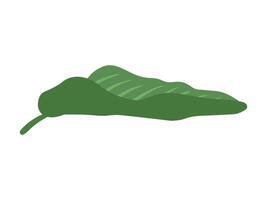 tropicale verde le foglie sfondo illustrazione vettore