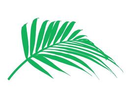 palma verde foglia sfondo illustrazione vettore