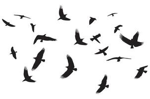volante uccelli silhouette impostato volante uccelli icona impostato impostato di volante uccelli sagome vettore