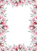 fresco magnolia fiore botanico acquerello illustrazione floreale design petali fioritura primavera tropicale rosa bellissimo pianta confine sfondo modello vettore