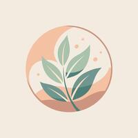un' minimalista logo con un' pianta ordinatamente chiuso entro un' cerchio forma, un' minimalista logo per un' naturale bellezza marca con un' morbido, smorzato colore tavolozza vettore