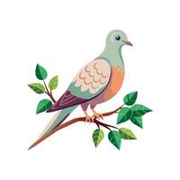 realistico piccione-uccello concetto illustrazione vettore