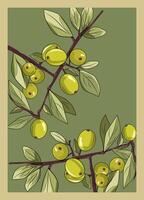 verde oliva ramo con olive vettore