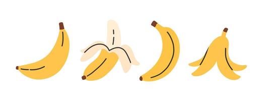 impostato di astratto Banana. semplice Banana. tropicale frutta collezione design per interno, manifesto, coperchio, striscione. vettore
