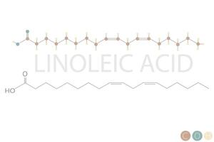 Linoleico acido molecolare scheletrico chimico formula vettore