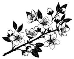 mano disegnato fiori su un' bianca sfondo vettore