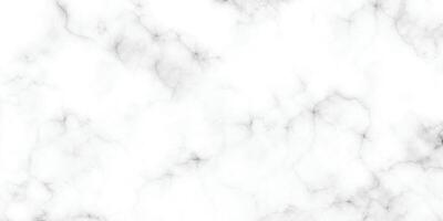 panoramico bianca marmo pietra struttura. bianca marmo struttura sfondo. alta risoluzione bianca carrara marmo pietra struttura vettore