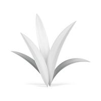 bianca cespuglio erba lussureggiante stelo le foglie botanico erbaceo arredamento elemento 3d icona realistico vettore