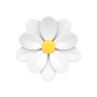 camomilla biologico germoglio fiore botanico fioritura con sei petali naturale ecologia 3d icona vettore