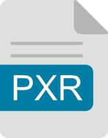 pxr file formato piatto icona vettore