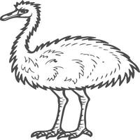 emu uccello colorazione pagine per colorazione libro vettore