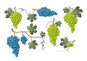 cartone animato colore sospeso uva ramoscelli con verde le foglie e frutti di bosco impostato vettore