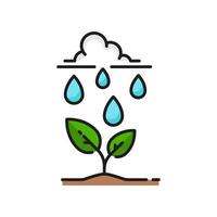 pianta naturale irrigazione a partire dal piovere, germoglio linea icona vettore
