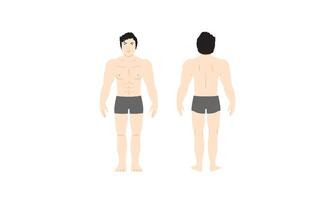 uomo nel un' costume da bagno umano maschio corpo icona illustrazione umano anatomia vettore