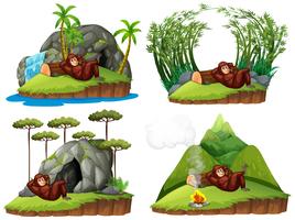 Orangutan in quattro scene diverse vettore