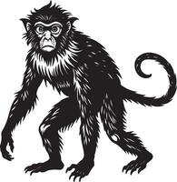 scimmia. nero e bianca illustrazione vettore