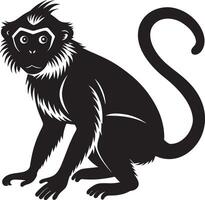 scimmia. nero e bianca illustrazione per tatuaggio o maglietta design vettore