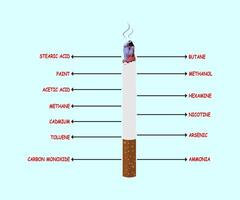 sigarette infografica illustrazione. cartello. vettore