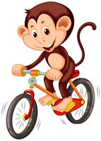Piccola scimmia in sella a una bicicletta vettore