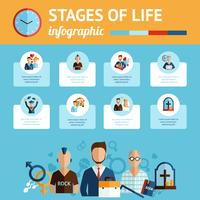 Stampa del report infografica sulle fasi della vita vettore