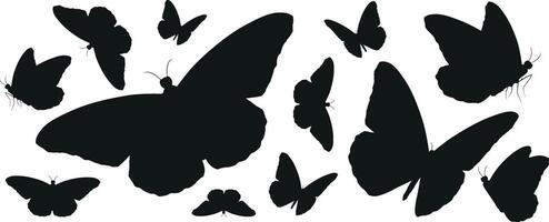 un' collezione di farfalle con un' bianca sfondo vettore