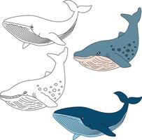 balena clipart. acquatico animale clipart per Gli amanti di subacqueo mare animali, marino vita, e mare vita vettore