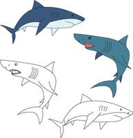 squalo clipart. acquatico animale clipart per Gli amanti di subacqueo mare animali, marino vita, e mare vita vettore