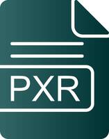 pxr file formato glifo pendenza icona vettore