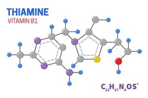 tiamina vitamina b1 molecola struttura illustrazione vettore