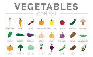 verdure il giro icona impostato di analizzare radice, carota, peperoncino, paprica, Pepe, pomodoro, cetriolo, fungo, spinaci, zucchine, aglio, cipolla, pomodoro, zucca, ravanello, barbabietola, piselli, fagiolo, icone. vettore